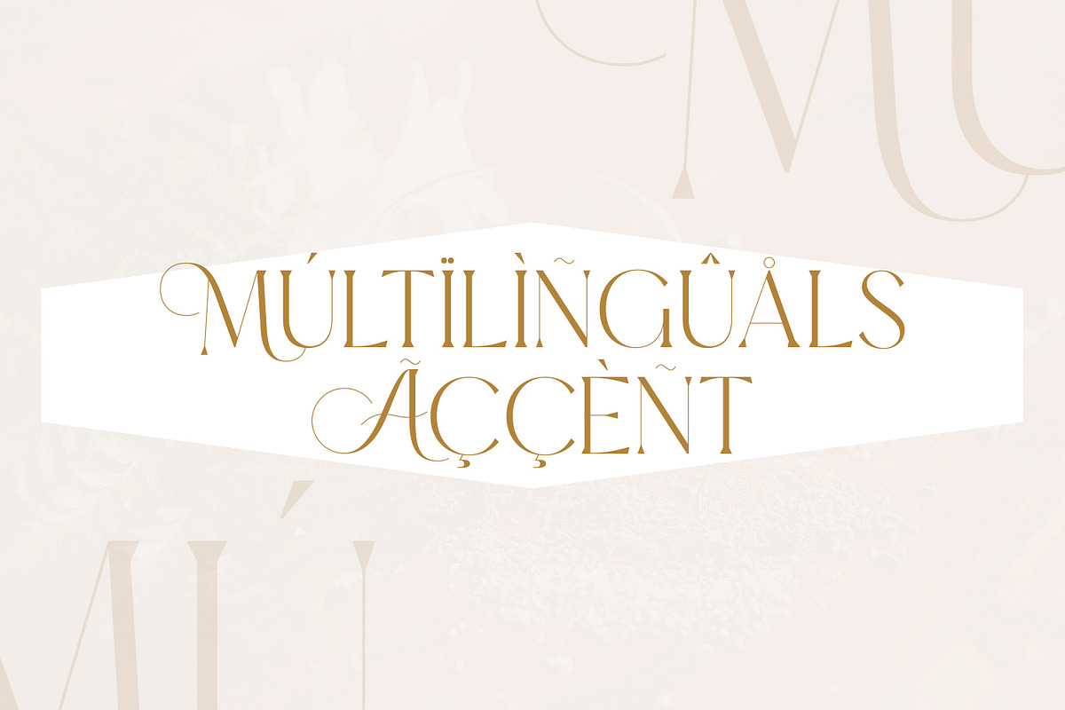 Walterosse - Elegant Display Serif, a Serif Font by Almarkhatype (Photo 7 of 10)
