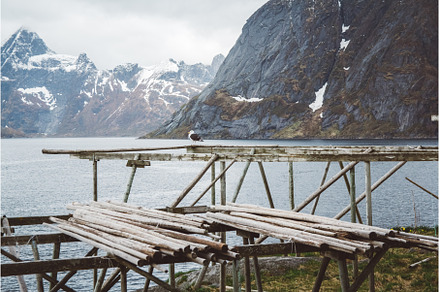 Norway mountain on the islands