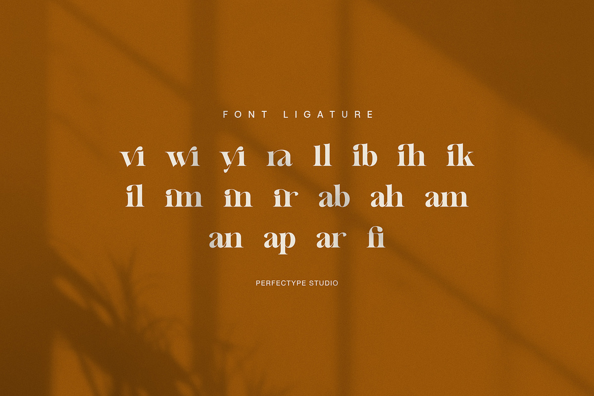 Melfin Modern Serif Font, a Serif Font by Perfectype (Photo 8 of 8)
