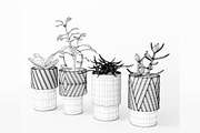 Decorative Plants, a Furniture 3D Model by 3DCargo (Thumbnail 8 of 9)