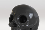 Skull, a 3D by maxtracing2 (Thumbnail 3 of 11)