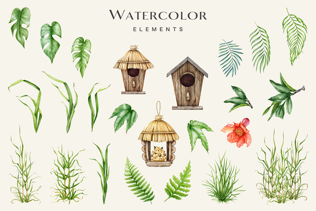 Birds Watercolor Painted Set, an Animal Illustration by AnitaPol (Photo 17 of 18)