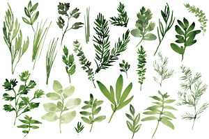 Watercolor Herbs Set