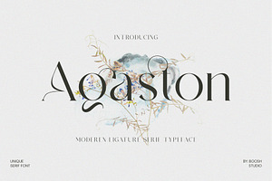 Agaston - Moderen Serif Font