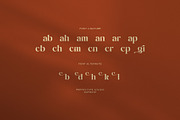 Garment Elegant Serif Font, a Serif Font by Perfectype (Thumbnail 7 of 7)