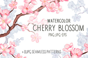 Watercolor cherry blossom