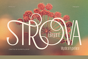 Strova, a Sans Serif Font by Burntilldead (Thumbnail 1 of 12)