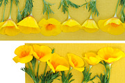 Yellow floral flatlay set, an Object Graphic by Pullia (Thumbnail 4 of 9)