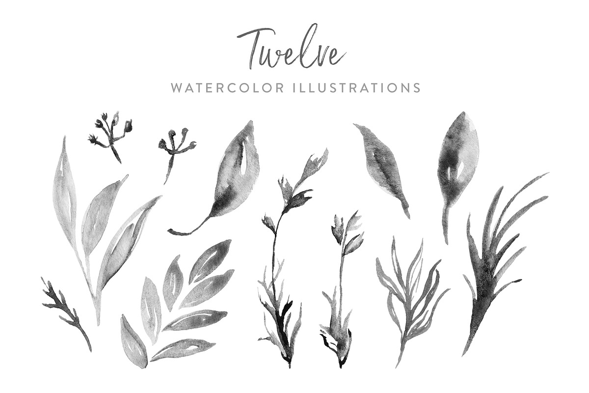 Grey Monochrome Foliage, an Illustration by Laurel Autumn (Photo 2 of 4)