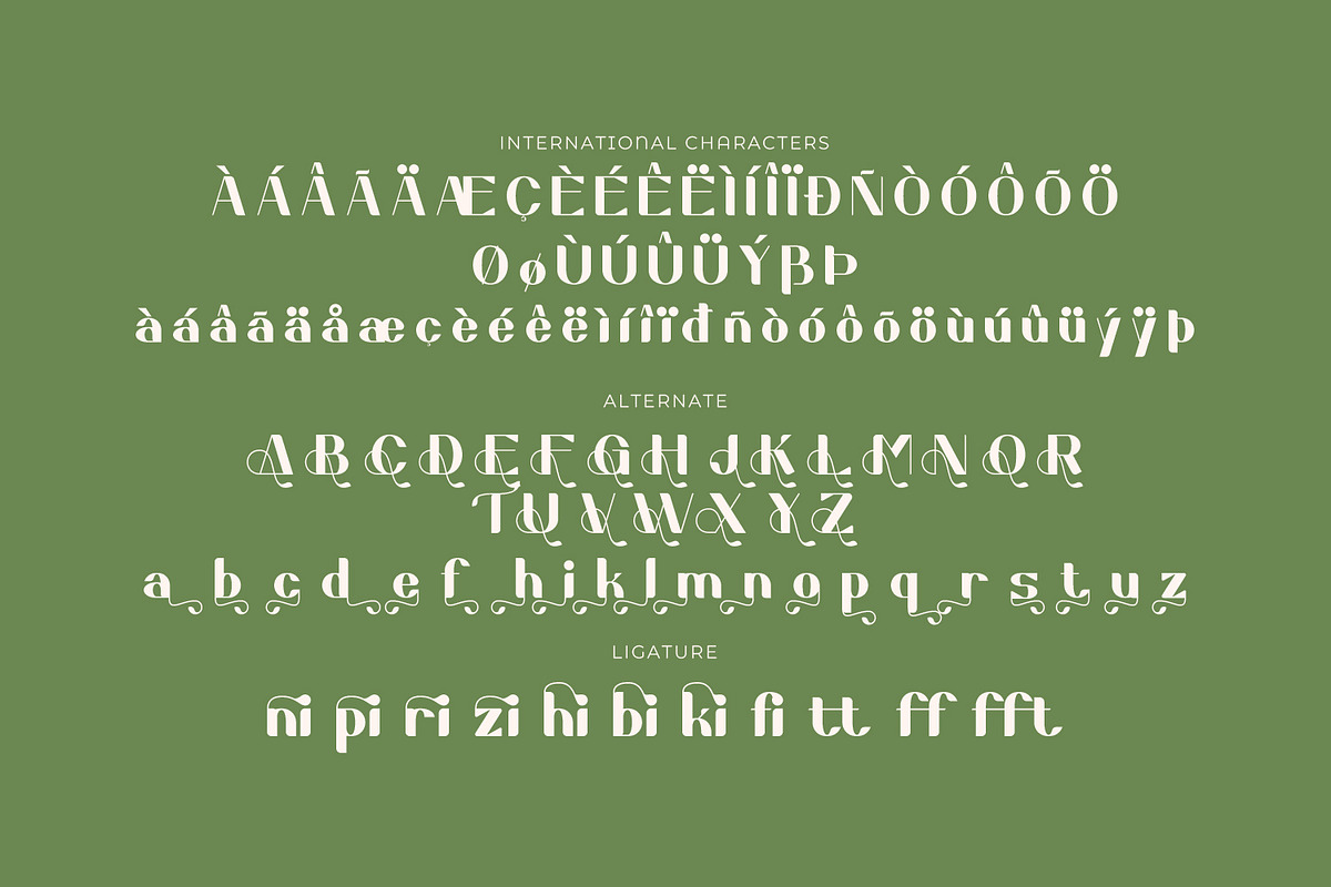 Greenic - Modern Serif Display Font, a Serif Font by Rishsketch (Photo 14 of 15)