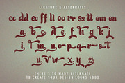 Patric Zihva - Retro Bold Script Fon, a Script Font by StringLabs (Thumbnail 13 of 15)