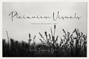 The Candelor | Luxury Chic Font, a Script Font by Denustudios (Thumbnail 8 of 12)