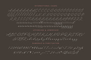 Anchesty Montaine Stylish Font, a Script Font by stylishtype.co (Thumbnail 18 of 20)