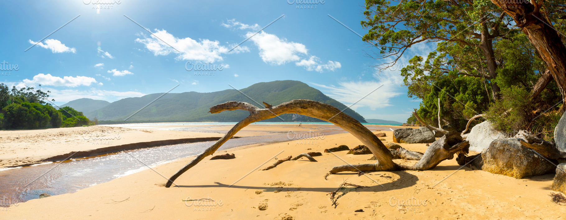 Panorama Of Sealers Cove, a Nature Photo by THP Creative
