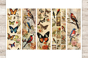 Vintage Birds And Butterflies, an Animal Illustration by GlamArtZhanna (Thumbnail 2 of 3)
