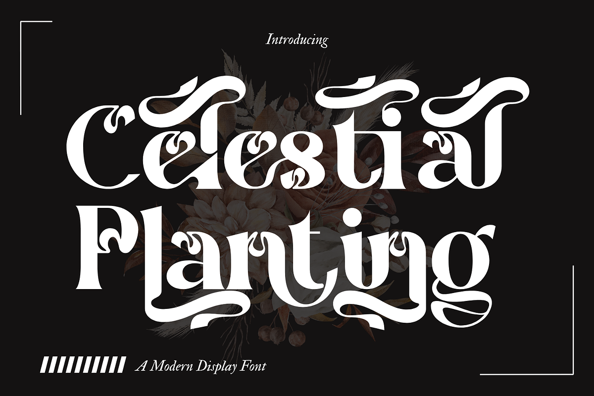 Celestial Planting - Modern Serif, a Serif Font by 177Studio (Photo 1 of 8)