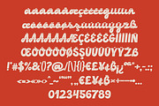 Analog Soul Branding Bold Script, a Script Font by Struvictory.art (Thumbnail 8 of 10)