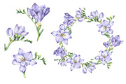 Set of Watercolor Freesia Flowers, an Illustration by Imaginasty (Thumbnail 3 of 5)