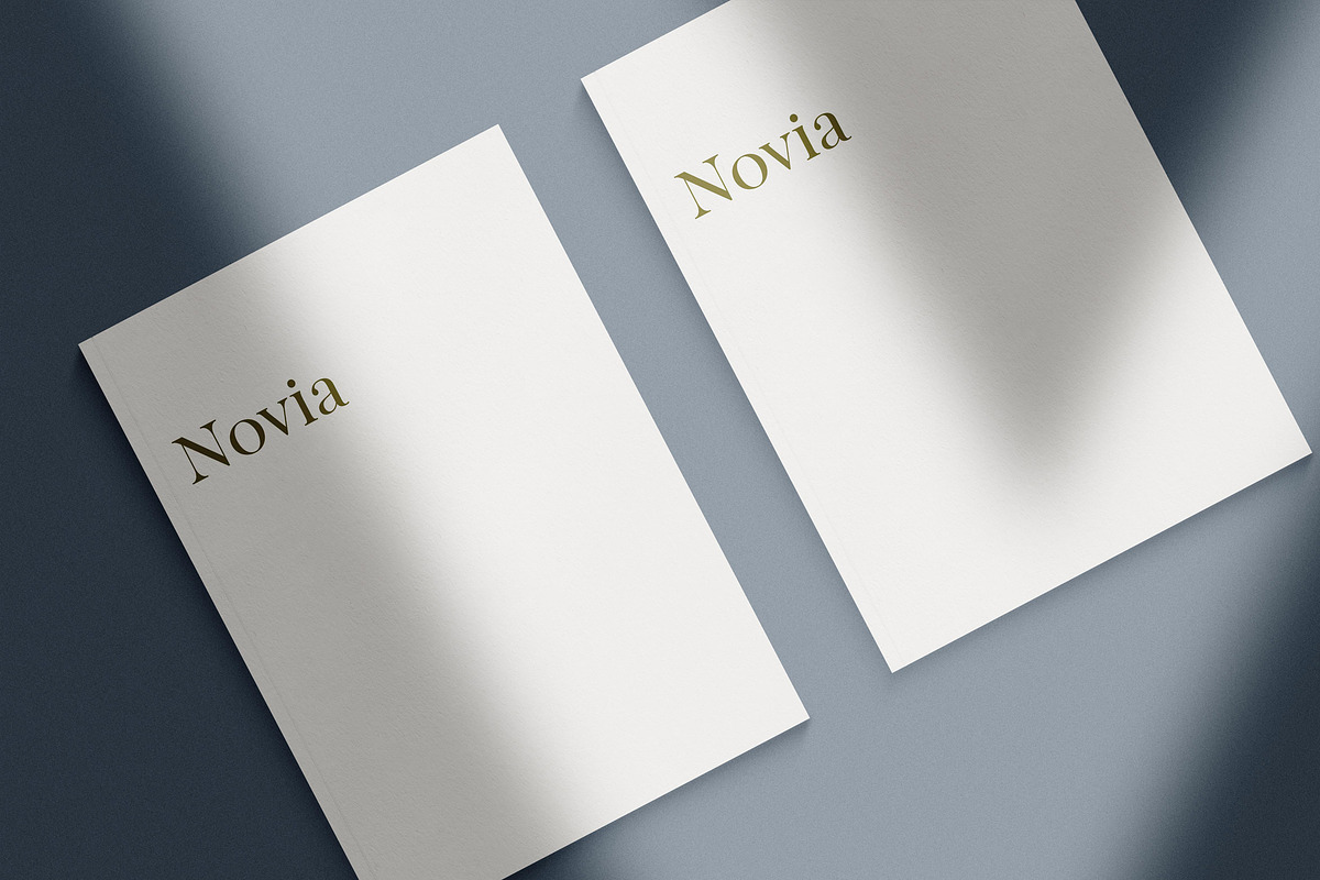 Novia Mini Magazine Mock-Up Kit, a Print Template by Eugene Tantsurin (Photo 8 of 12)