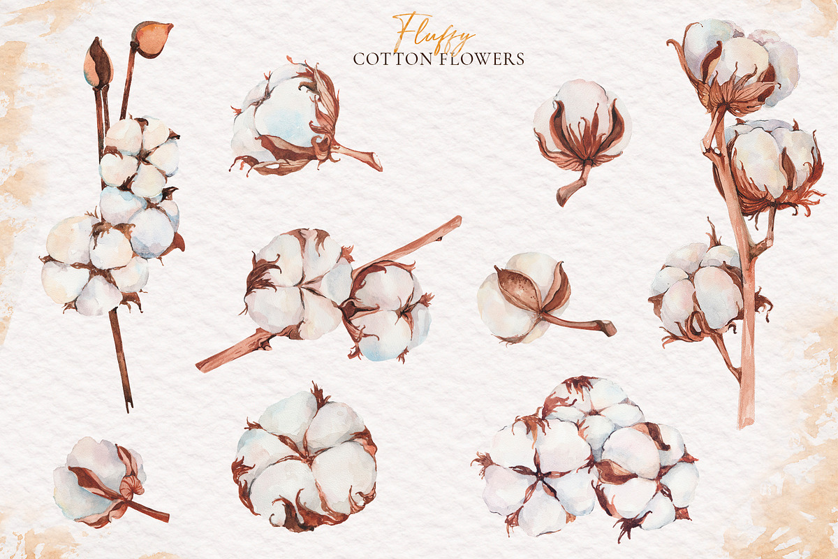 Watercolor Fluffy cotton, a Decorative Illustration by Re_Margarita_Art (Photo 4 of 7)