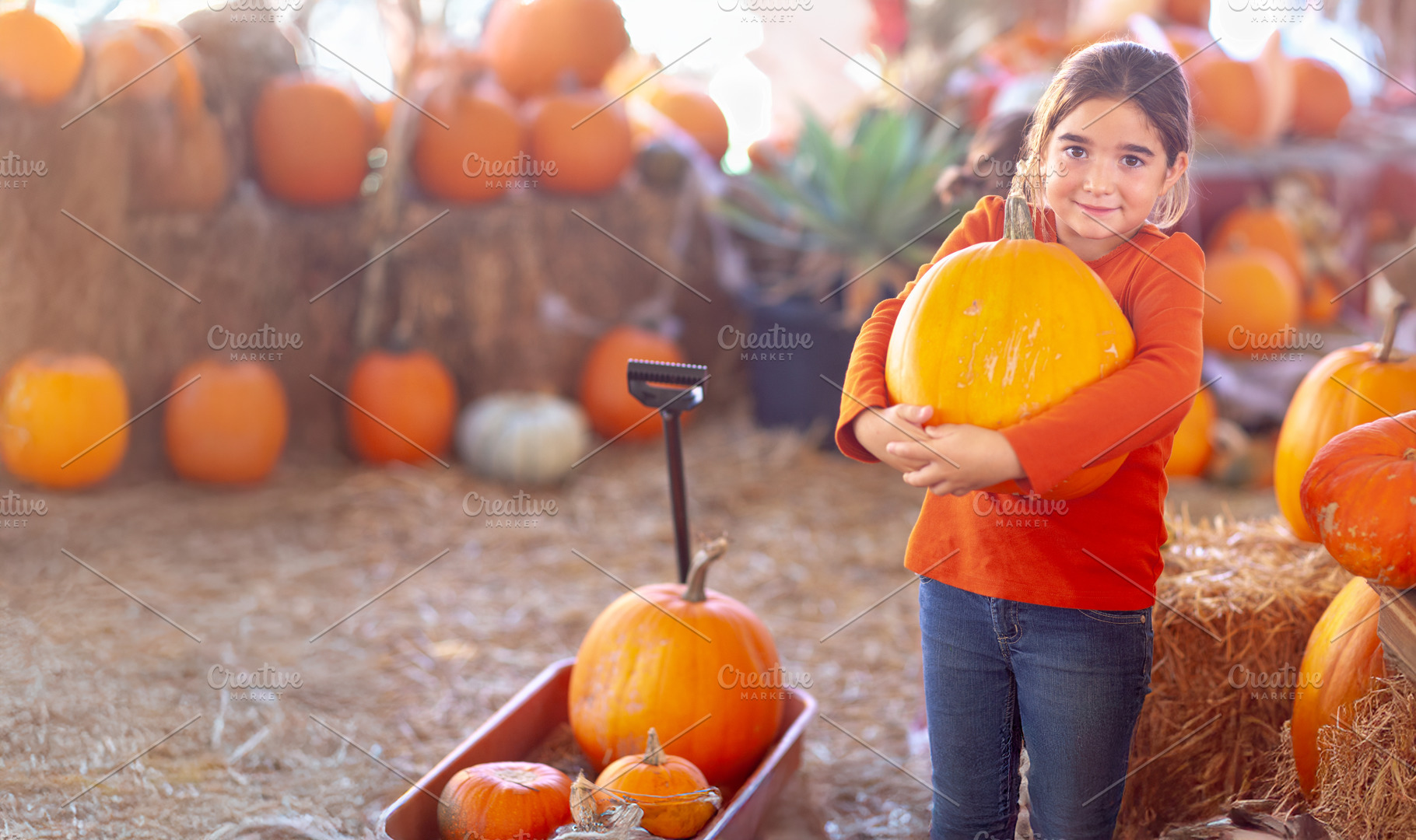 Young Girl at A Pumpkin Patch, a Holiday Photo by Andy Dean Photography