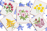 Wild Flowers, Butterflies and Dragon, an Illustration by Creative Art (Thumbnail 3 of 9)