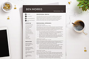 Business Modern Resume / CV Template, a Resume Template by BestResumes.Co (Thumbnail 1 of 9)
