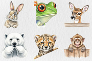 Animal Peeking Clipart Bundle, an Animal Illustration by Rose Art (Thumbnail 2 of 4)