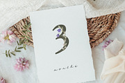 Watercolor Wildflowers Collection, an Object Illustration by Jenteva Art (Thumbnail 9 of 18)