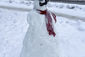 Snowman wearing scarf and sunglasses in snowy park on a chilly winter day, a Photo by AS photostudio