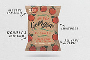 Roadtripper Script, a Script Font by Muffin Grayson (Thumbnail 4 of 10)