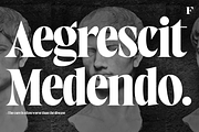 West West Condensed Serif, a Serif Font by Fenotype (Thumbnail 9 of 18)
