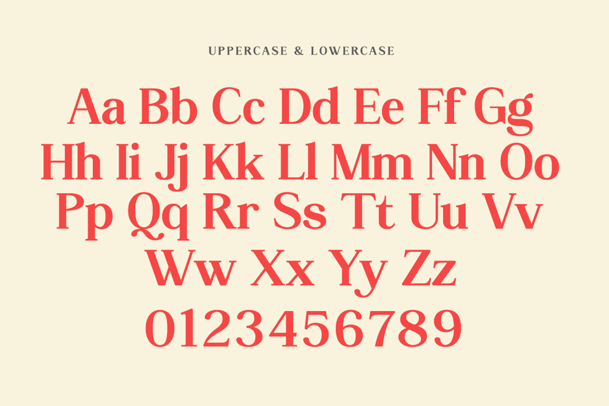 Reding, a Serif Font by Mantype Studio (Photo 14 of 14)