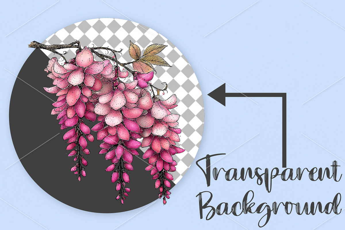 Watercolor Spring Flower Clipart PNG, an Illustration by Canvas Craft (Photo 2 of 7)