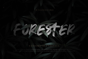 Forester Handbrush Business Font