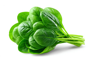 The stock image features vibrant and, a Food & Drink Photo by ZinetroN