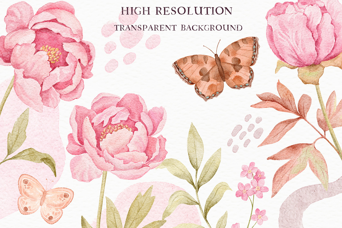Marshmallow Watercolor Peonies, an Illustration by Irina Diasli (Photo 9 of 12)