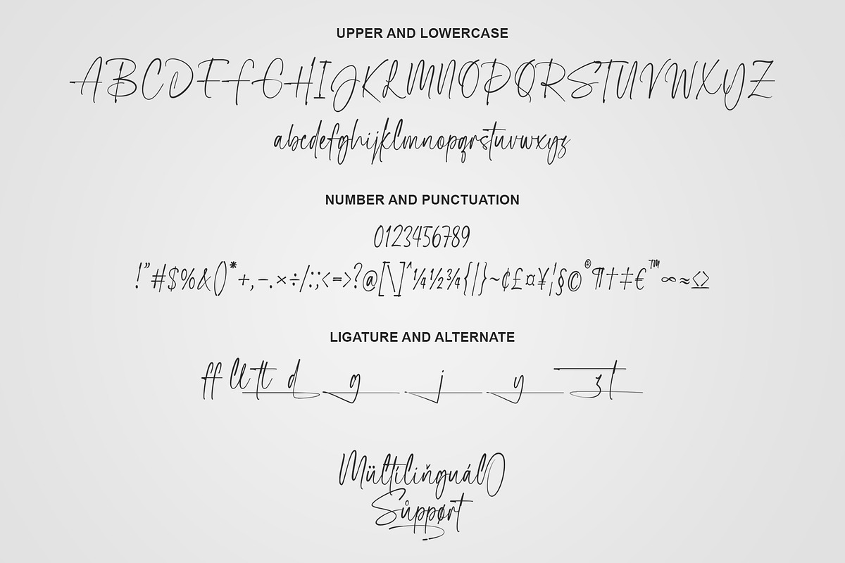 Primal Signature | Signature Script, a Handwritten Font by Lemonthe (Photo 9 of 9)