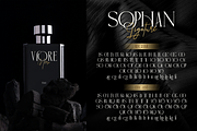 Sophan Elegant, a Serif Font by Burntilldead (Thumbnail 8 of 12)