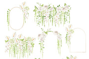 Watercolor Flower- AMARANTHUS, a Decorative Illustration by Beigetime (Thumbnail 7 of 15)