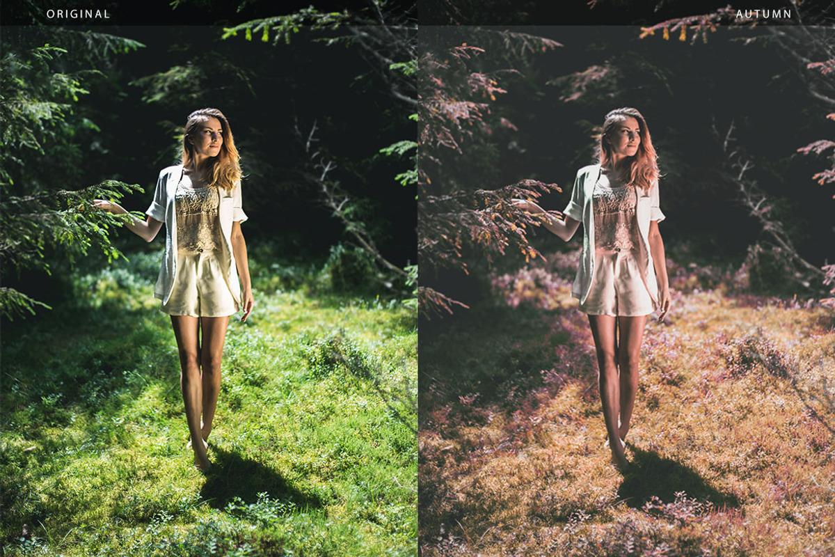 Autumn Action, an Action Add-On by beto (Photo 2 of 5)