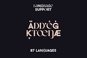 Neat Type - elegant fusion font, a Serif Font by VP Fonts (Thumbnail 9 of 13)