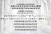 Jungle Snowes | Script Font, a Script Font by Scratchones (Thumbnail 7 of 8)