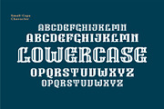 WallAxe Fonts Condensed, a Slab Serif Font by Nocturnal Workspace (Thumbnail 4 of 17)