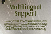 Manshera Romika - Modern Vintage, a Serif Font by Arterfak Project (Thumbnail 15 of 15)