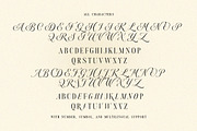 Androgy Display, a Serif Font by Letterhend Studio (Thumbnail 9 of 9)
