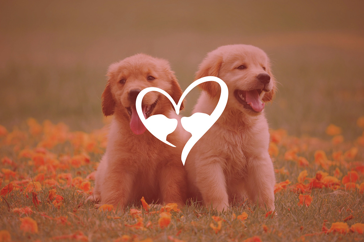 Dog Love Logo, a Branding & Logo Template by Abir Hossain Waffi (Photo 1 of 5)