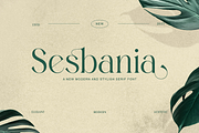 Sesbania - Modern Minimal Branding, a Serif Font by Qweera Studio (Thumbnail 1 of 12)