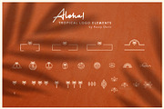 Aloha! Tropical Elements + Patterns, an Outline Icon by GraphicsByKassy (Thumbnail 1 of 16)