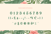 Treva del Mar, a Serif Font by ilhamtaro (Thumbnail 11 of 13)